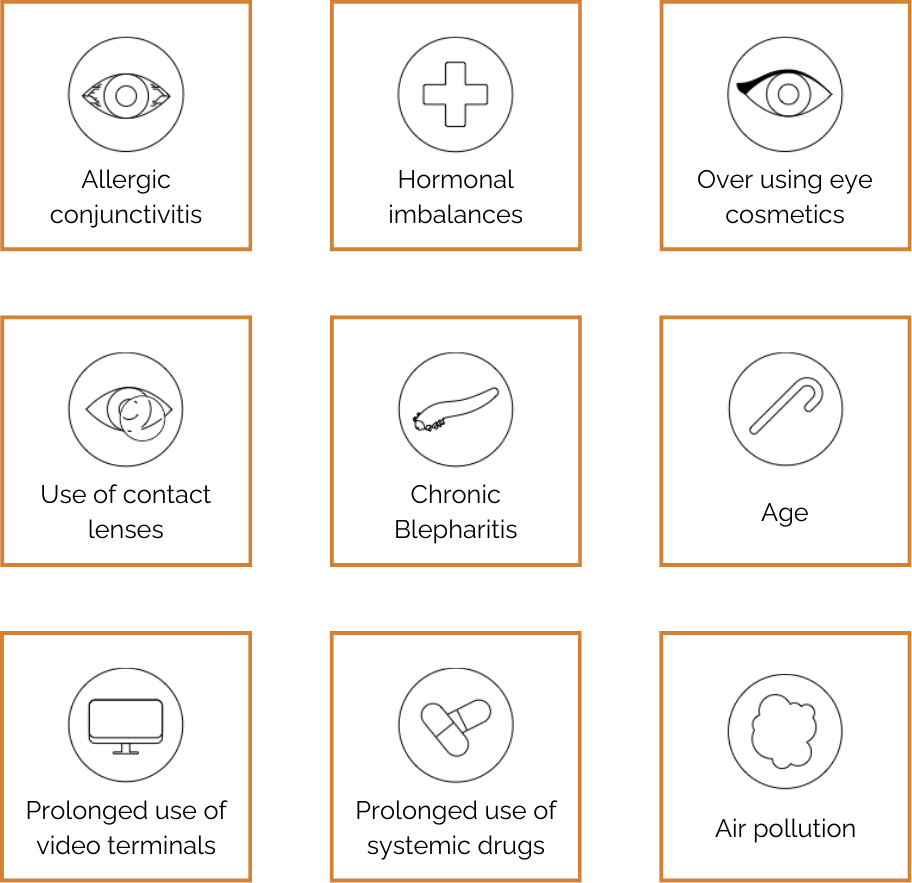 Allergic conjunctivitis; Hormonal imbalances; Over using eye cosmetics; Use of contact lenses; Chronic Blepharitis; Age; Prolonged use of video terminals; Prolonged use of systemic drugs; Air pollution